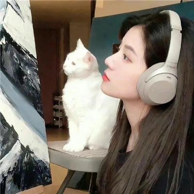 苦菜花
